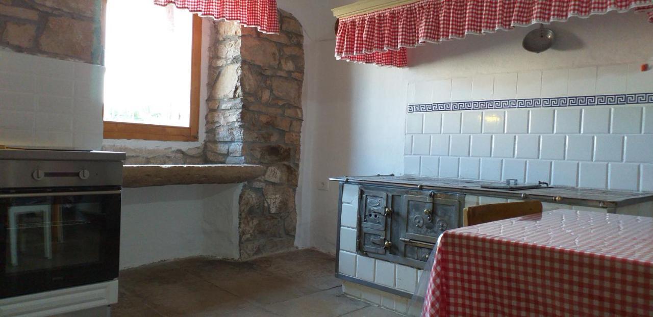 Rural Apartment Carolina Zrenj ภายนอก รูปภาพ