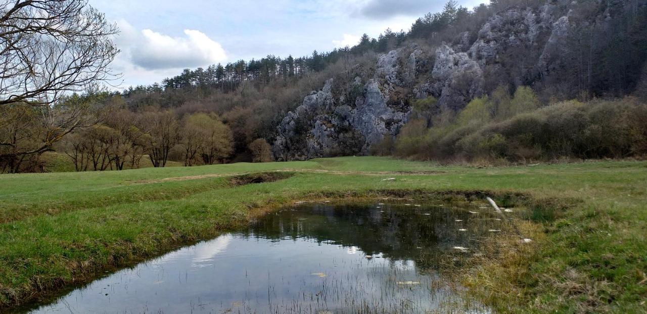 Rural Apartment Carolina Zrenj ภายนอก รูปภาพ