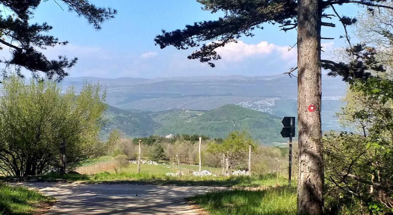 Rural Apartment Carolina Zrenj ภายนอก รูปภาพ