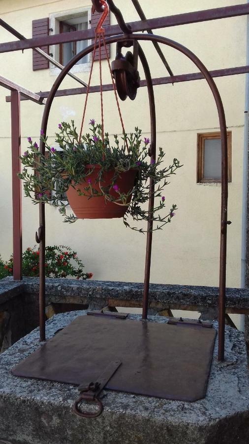 Rural Apartment Carolina Zrenj ภายนอก รูปภาพ