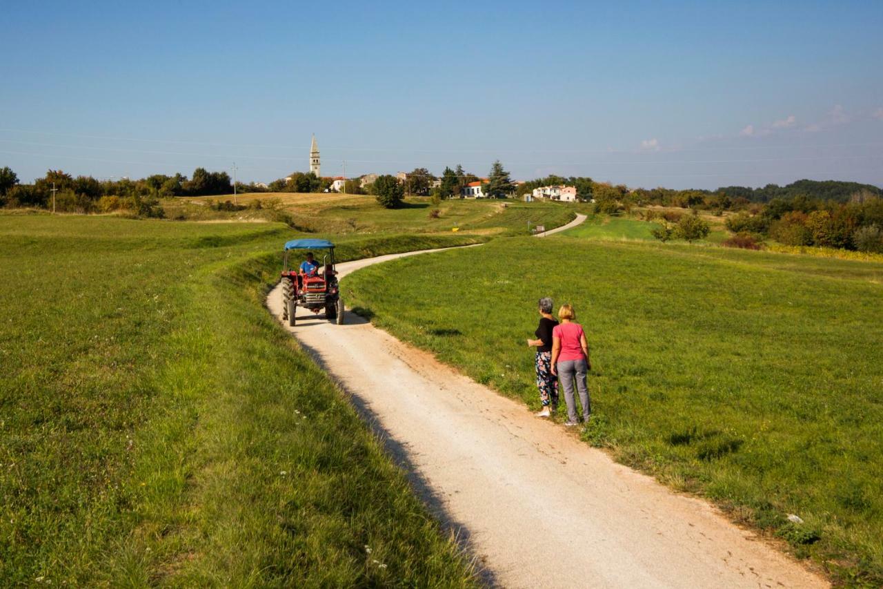 Rural Apartment Carolina Zrenj ภายนอก รูปภาพ