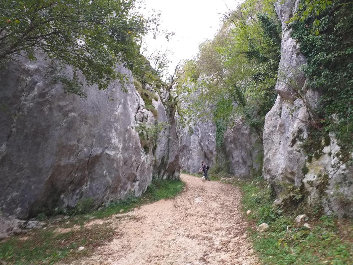 Rural Apartment Carolina Zrenj ภายนอก รูปภาพ